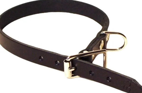 Alac nahkapanta, 22mmx50cm, musta| Kaulapannat