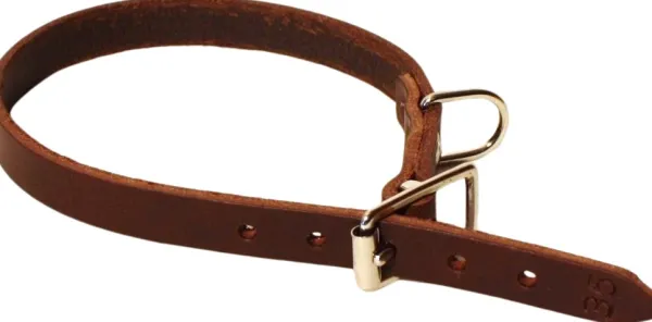 Alac Kaulapannat^nahkapanta, 22mmx50cm, ruskea