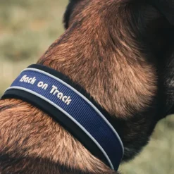 Back on Track Kaulapannat^Charlie kaulapanta, sininen 30-35 cm