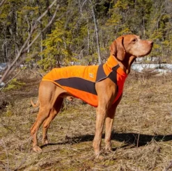 Back on Track Eddie koiran fleecepaita, oranssi 45 cm| Fleecetakit