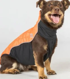 Back on Track Fleecetakit^Eddie koiran fleecepaita, oranssi 30-35 cm