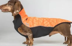 Back on Track Eddie koiran fleecepaita, oranssi 40 cm| Fleecetakit