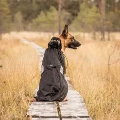 Back on Track koiran verkkotakki, musta 43-59 cm| Fleecetakit