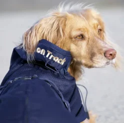 Back on Track koiran verkkotakki, sininen 63-82 cm| Fleecetakit