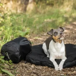 Back on Track Koiranpedit^ovaali koiran matkapeti, musta 80 x 100 cm