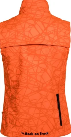 Back on Track Koiranohjaajan Vaatteet^Ray High Visibility Vest liivi, Orange