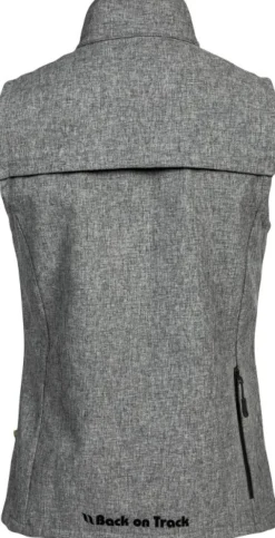 Back on Track Koiranohjaajan Vaatteet^Ray High Visibility Vest liivi, Grey