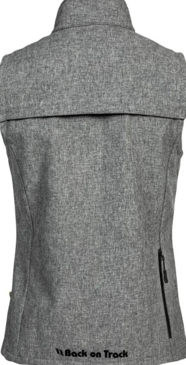 Back on Track Koiranohjaajan Vaatteet^Ray High Visibility Vest liivi, Grey