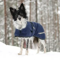 Back on Track Talvitakit^Sunny koiran takki, sininen 40-50 cm