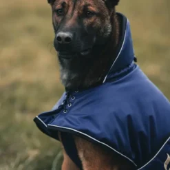 Back on Track Sunny koiran takki, sininen 70-80 cm| Talvitakit