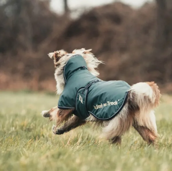 Back on Track Talvitakit^Sunny koiran takki, Sunny koiran takki, vihreä 55-65 cm