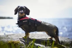 Baltic Mascot koiran pelastusliivit, M–XXL, musta/roosa| Pelastusliivit