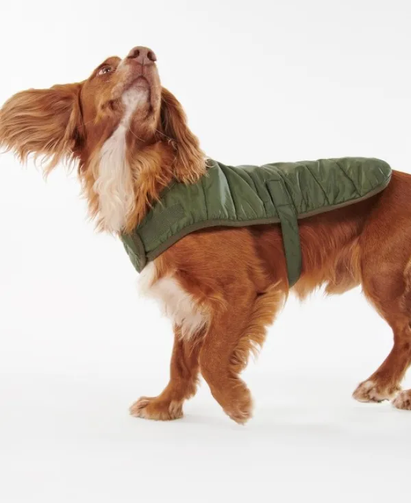 Barbour Baffle koiran tikkitakki, oliivinvihreä| Talvitakit