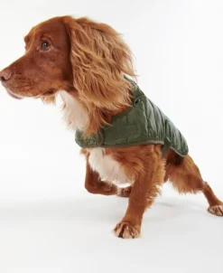 Barbour Baffle koiran tikkitakki, oliivinvihreä| Talvitakit