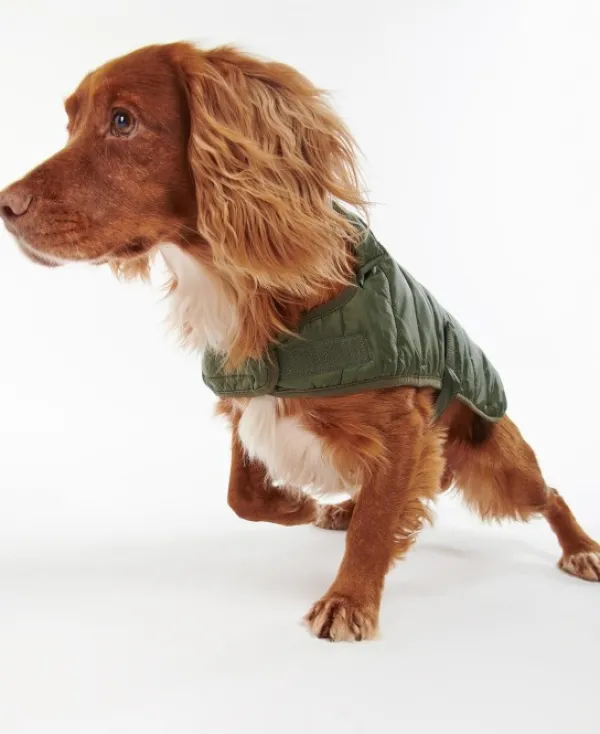 Barbour Baffle koiran tikkitakki, oliivinvihreä| Talvitakit