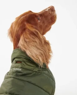 Barbour Baffle koiran tikkitakki, oliivinvihreä| Talvitakit