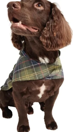 Barbour Sadetakit^Packable Dog Coat koiran sadetakki, Classic Tartan