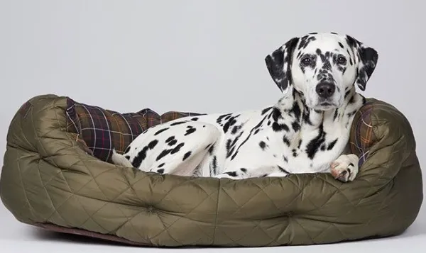 Barbour Quilted Dog Bed 35'' koiran peti, Olive| Koiranpedit