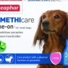 Beaphar Flea & Tick Line On Small Dog hoitotuote| Punkit Ja Ulkoloiset