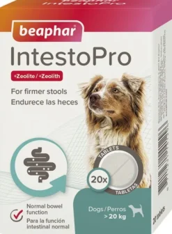 Beaphar IntestoPro tabletit ruoansulatusongelmiin >20kg, 20 kpl| Ravintolisät/Vatsan Hyvinvointi