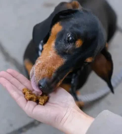 Buddy Makupalat^Training Snacks Beef makupalat, 100g