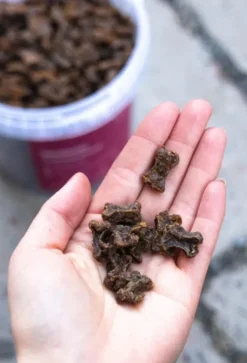 Buddy Training Snacks Venison makupalat, 100g| Makupalat