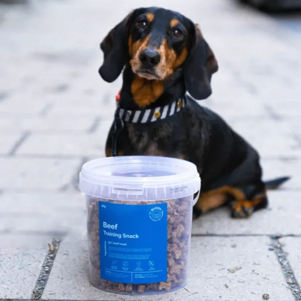 Buddy Beef Training Snackn koiran makupalat, 1 kg| Makupalat