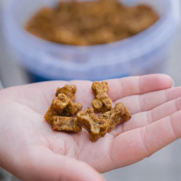 Buddy Beef Training Snackn koiran makupalat, 1 kg| Makupalat