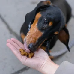 Buddy Beef Training Snackn koiran makupalat, 1 kg| Makupalat