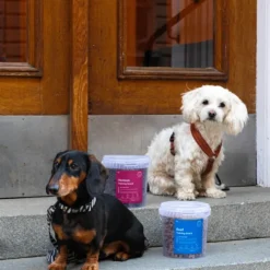 Buddy Venison Training Snack makupala, 1 kg| Makupalat