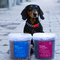 Buddy Venison Training Snack makupala, 1 kg| Makupalat