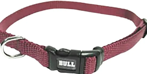 Bull Collar Nylon Burgundy 45-65 cm| Kaulapannat
