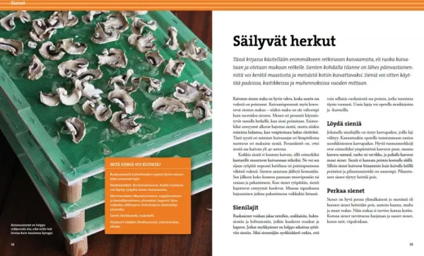 Calazo Kuivaa ruokaa| Kirjat Ja Kartat