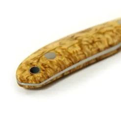 Casström Safari Masur| Lihankäsittelyvälineet