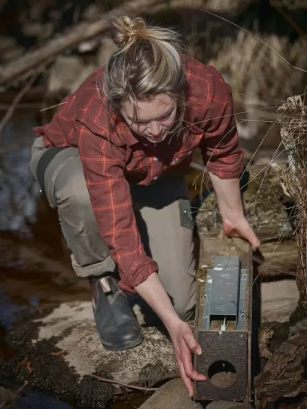 Chevalier Eagle naisten flanellipaita, Fox Red Checked| Metsästyspaidat