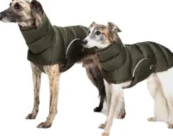 Cloud7 Talvitakit^Alaska Dog Coat koiran takki, koot 6-10, Olive