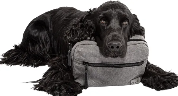 Cloud7 Belt Bag vyölaukku, Blue| Koiranpentujen Tarvikkeet