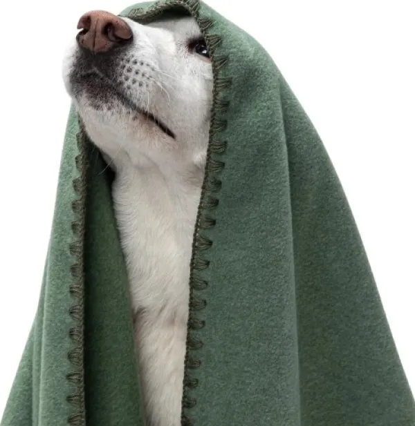 Cloud7 Tyynyt Ja Peitot^Blanket Fleece koiranpeitto, S, vihreä