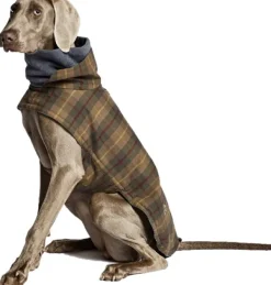 Cloud7 Talvitakit^Brooklyn Dog Coat Waxed Tartan koiran takki, koot 6-10, Tartan
