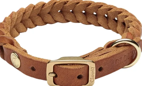 Cloud7 Kaulapannat^Collar Central Park nahkapanta, XS-M, vaaleanruskea