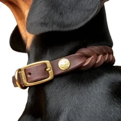 Cloud7 Collar Central Park nahkapanta, XS-M, ruskea| Kaulapannat