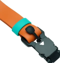 Cloud7 Kaulapannat^Dog Collar Ipanema kaulapanta, S-M, Orange