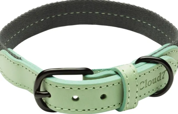 Cloud7 Taluttimet^Dog Collar Madeira kaulapanta, L-XL, Mint