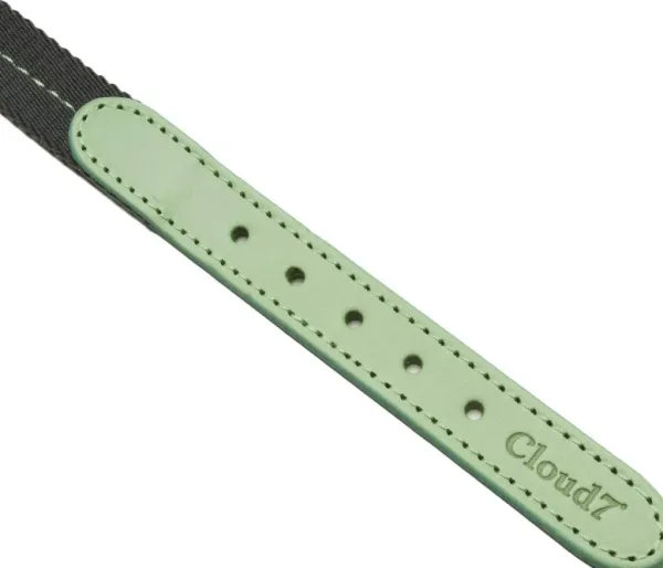 Cloud7 Taluttimet^Dog Collar Madeira kaulapanta, L-XL, Mint