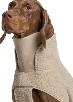 Cloud7 Fleecetakit^Dog Sweater Gotland koiran teddytakki, 4-7, beige