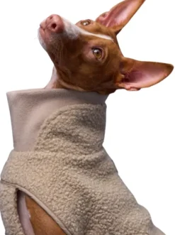 Cloud7 Fleecetakit^Dog Sweater Gotland koiran teddytakki, 4-7, beige