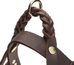 Cloud7 Harness Central Park nahkavaljaat, XL, ruskea| Valjaat