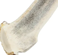 Cloud7 Puruluut^peuransarvi puruluu, M