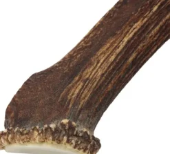 Cloud7 Puruluut^peuransarvi puruluu, M