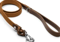 Denjo Dogs Taluttimet^Signature talutin, S, Brown/Mustard